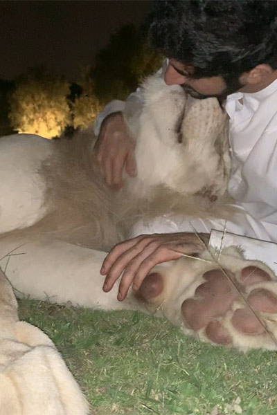 لاصحاب القلوب القوية فقط...فيديو يكشف كيف يتعامل ولي عهد  دبي مع الأسد الذي يربيه